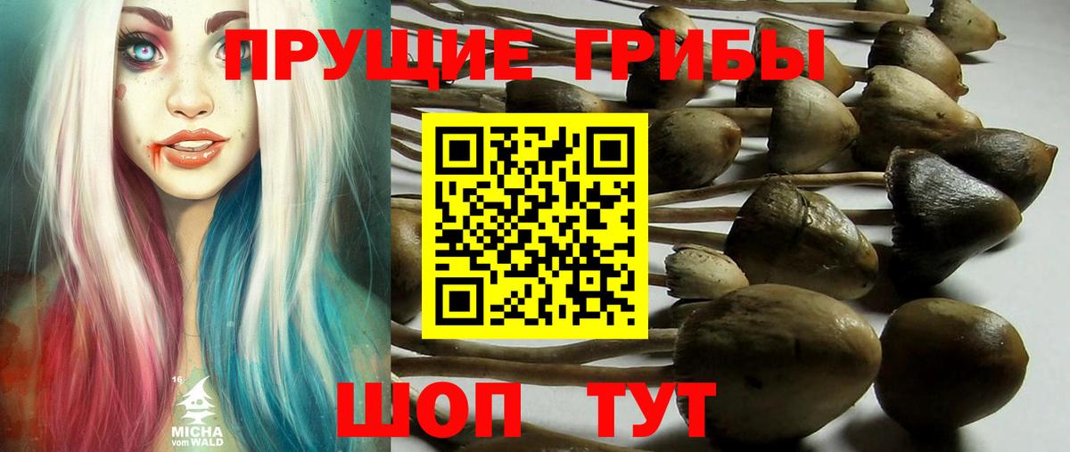 Ханты-Мансийск  Галлюциногенные грибы прущие грибы  где найти   Вход с VPN  Галлюциногенные грибы мицелий 